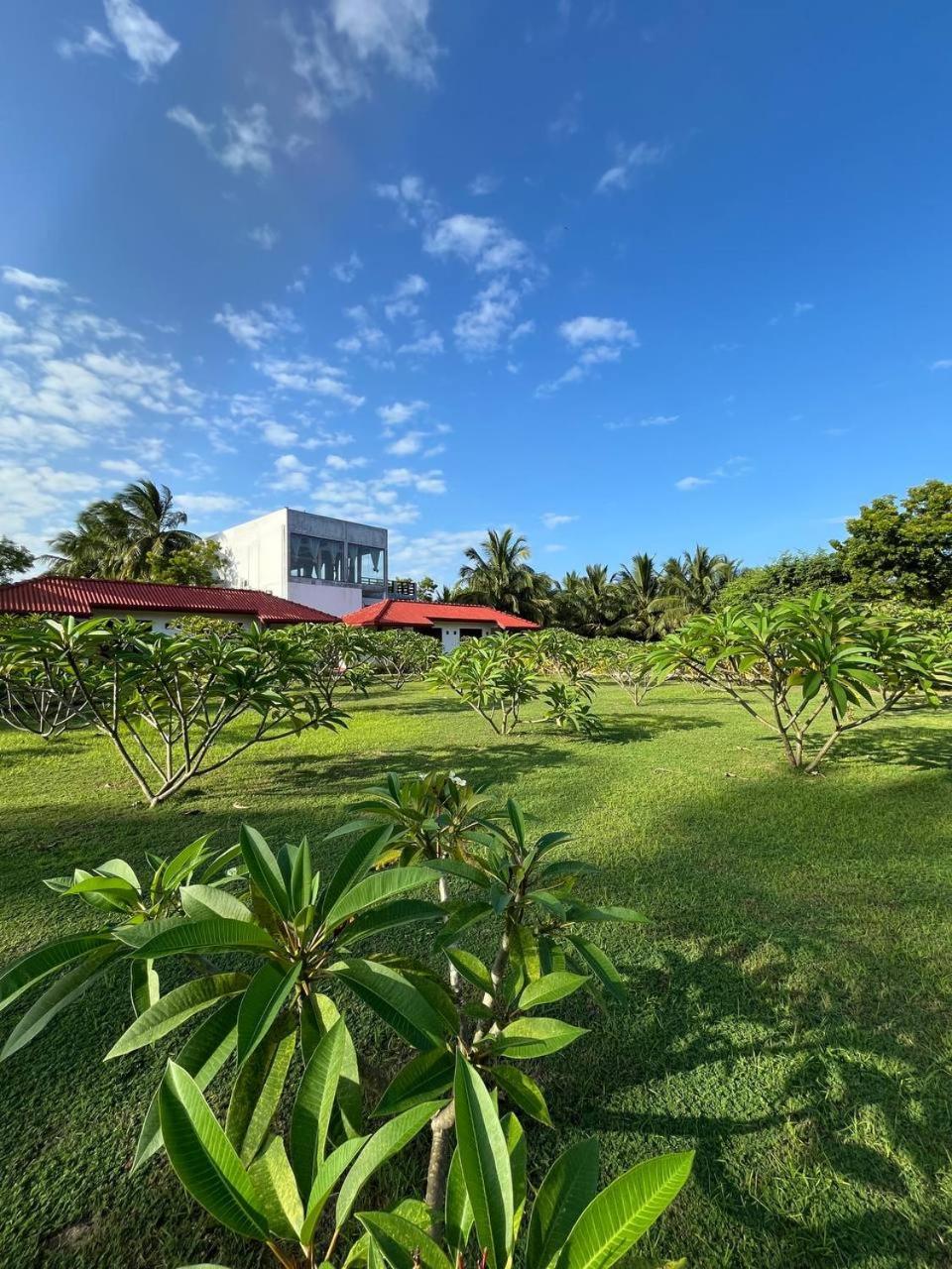 Nn Beach Resort & Spa Nilaveli Exteriér fotografie